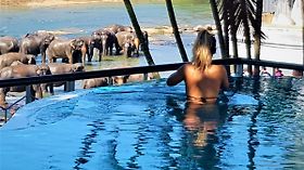 Hotel Elephant Park 