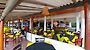 Hotel Ritas And Beach Restaurant Шри-Ланка